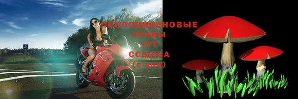 COCAINE Белокуриха