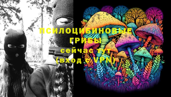 COCAINE Белокуриха