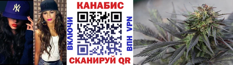 Купить закладки  Ессентуки  Бошки марихуана индика 
